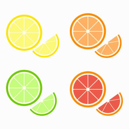 Set of citrus slices of lime, orange, grapefruit and lemon. The style is hand-drawn and cartoonist. All objects are isolated.のイラスト素材
