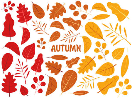 Autumn background with leaves. Set of isolated leaves. Red, orange and yellow.のイラスト素材
