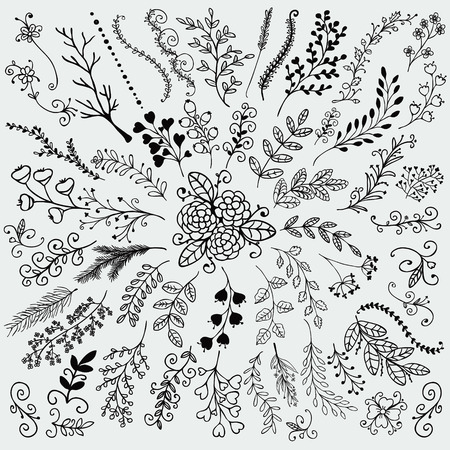 Vector Black Hand Sketched Rustic Floral Doodle Decorative Branches, Swirls, Design Elements. Hand Drawing Vector Illustration. Discrete Brushes.のイラスト素材