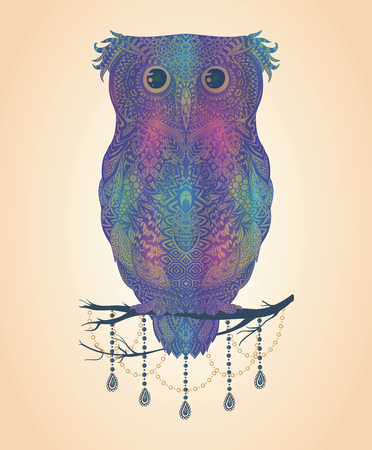Vector colorful hand drawn Owl sitting on branchの写真素材