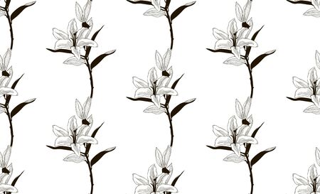 Vector Black Seamless Pattern with Drawn Liliesのイラスト素材
