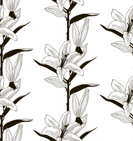 Vector Black Seamless Pattern with Drawn Liliesの写真素材