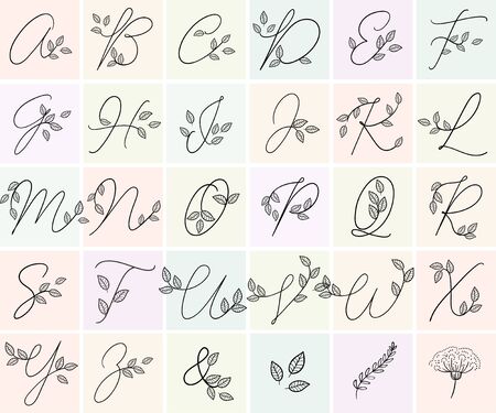 Calligraphy alphabet. Decorative handwritten font. Vector letters decorated with leaves, florals. Wedding calligraphy. ABC for your design. Floral lettering. Monogram, Logo Brandingのイラスト素材