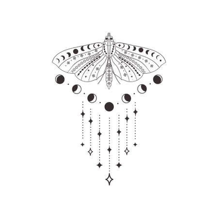 Divine Beauty Premade Logo Design. Black Butterflyのイラスト素材