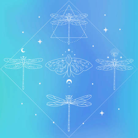 Mystic Insects White Premade Logo Designs Kit.のイラスト素材