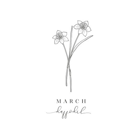 Daffodil, March. Hand drawn birth flowers, Vector Graphics.のイラスト素材