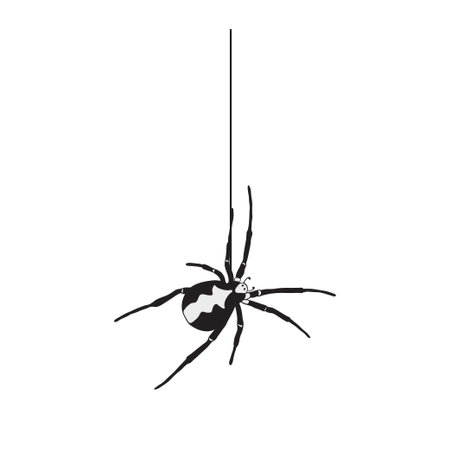 Halloween Spider. Halloween party decorations, haunted house decorations.のイラスト素材