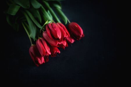 Beautiful red tulips bunch on black background.の写真素材