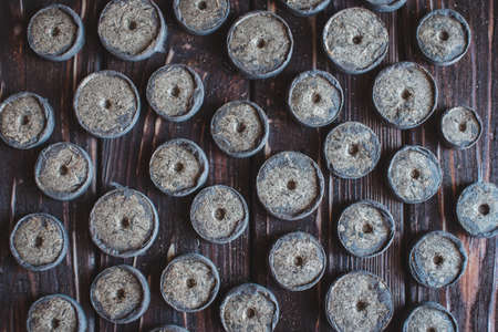 Peat tablets for growing plant seedlings on a wooden brown backgroundの写真素材