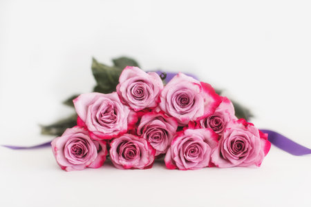 Bouquet of Pink Roses with water drops on a white background.の写真素材