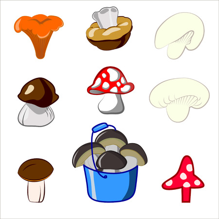Vector set cartoon illustration of mushrooms.のイラスト素材