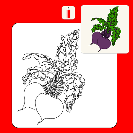 Coloring Book. Coloring book pages with cartoon vector illustration. Beetroot  Isolated on White. Flat Design Style.のイラスト素材
