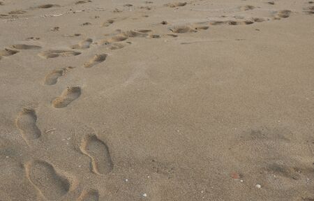 Footprints on the beach sand. Brown sand.