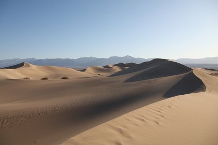 Sand dunes in Death Valleyの写真素材