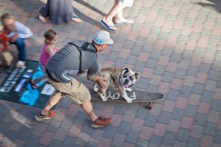 Vail, Colorado - June 2nd, 2011 - First day of the Teva Mountain Games : opening ceremony with Floyd the dog on his skateboardのeditorial素材