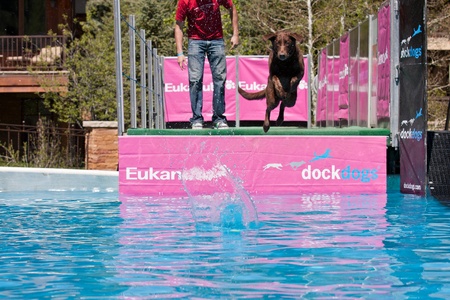 Vail, Colorado, USA - June 3rd 2011 - The Teva Mountain Games - Dockdogs : Big air Wave - Dogs have to do the longest jump in the water to retrieve their favorite toyのeditorial素材