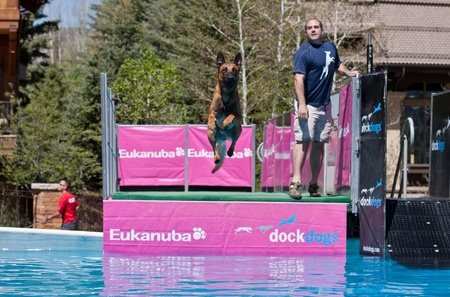 Vail, Colorado, USA - June 3rd 2011 - The Teva Mountain Games - Dockdogs : Big air Wave - Dogs have to do the longest jump in the water to retrieve their favorite toyのeditorial素材