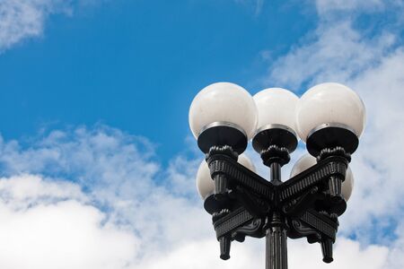 Street light in summerの写真素材