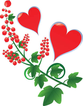 hearts with red currantのイラスト素材