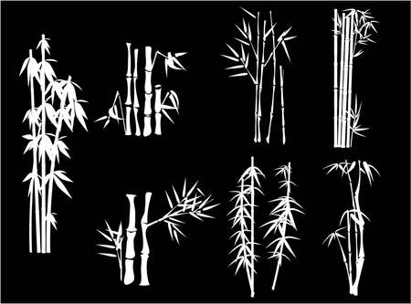 white bamboo on black background のイラスト素材