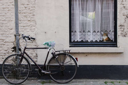 Pet cat sitting upon a windowsill beside a town bicycle, on a street in Bruges, Belgium.の写真素材