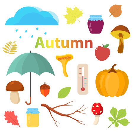 Set of autumn objects for design.のイラスト素材