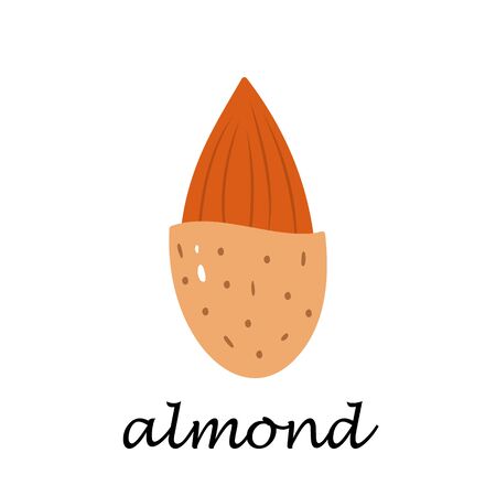 Almond on white background in cartoon style. Flat vector illustration.のイラスト素材