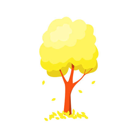 Tree with falling yellow foliage isolated on white background.のイラスト素材