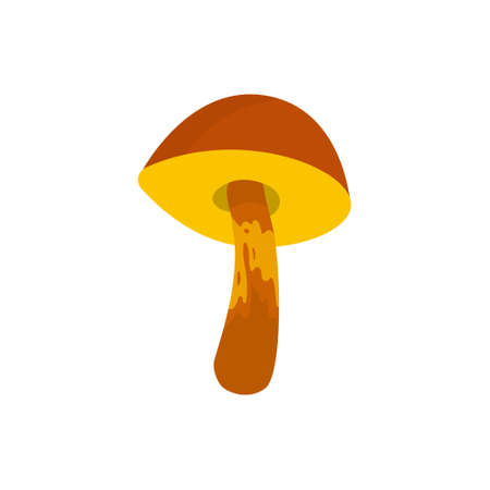 Bay mushroom isolated on white background.のイラスト素材