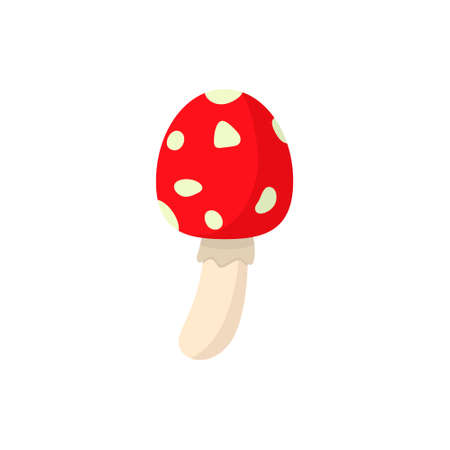 Amanita mushroom isolated on white background.のイラスト素材
