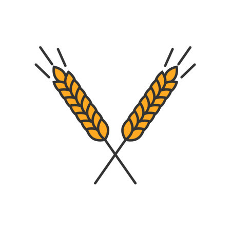 Crossed ears of cereals isolated on a white background.のイラスト素材