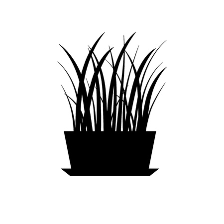 House plant isolatedのイラスト素材