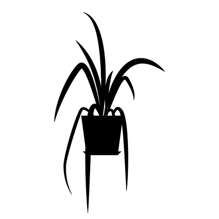 Indoor plant isolatedのイラスト素材