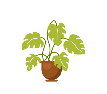 House plant isolated. Vector flat house plant pot illustration. Concept of flat home plant pot. Colorful house plant in pot for your design. Home plant iconのイラスト素材