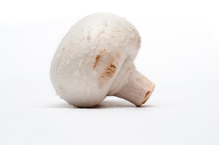 Champignonの写真素材