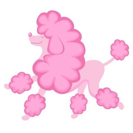   Pink poodleのイラスト素材