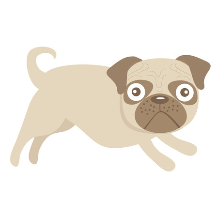 Cute little pug dog illustrationのイラスト素材