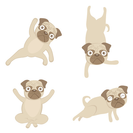An illustration of pugs doing yogaのイラスト素材