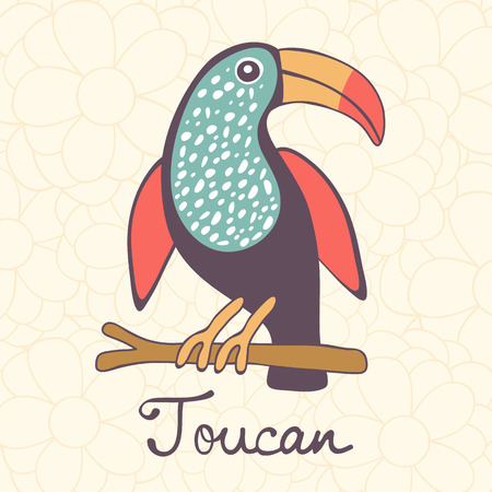 Colorful exotic toucan bird illustration in vector formatのイラスト素材