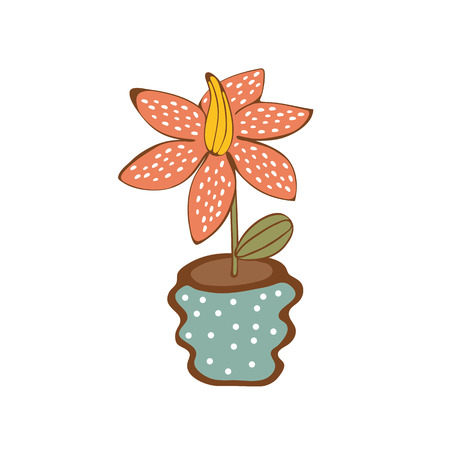 Beautiful  house plant  in vase. のイラスト素材