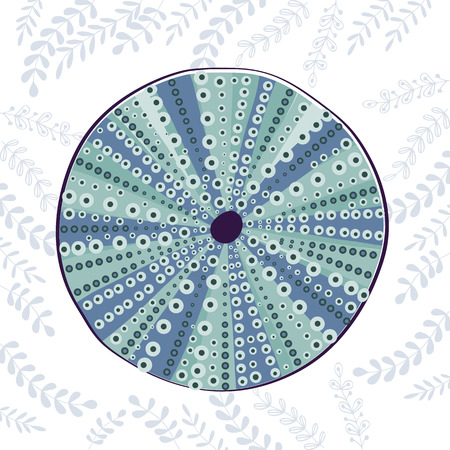 Sea urchin colorful illustration.In vectro formatのイラスト素材