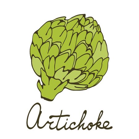 Colorful hand drawn card with artichoke. Illustration in vector formatのイラスト素材