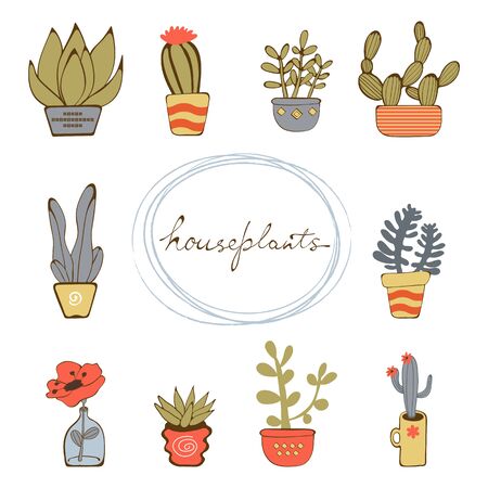 Cute hand drawn collection of house plants.Vector illustrationのイラスト素材