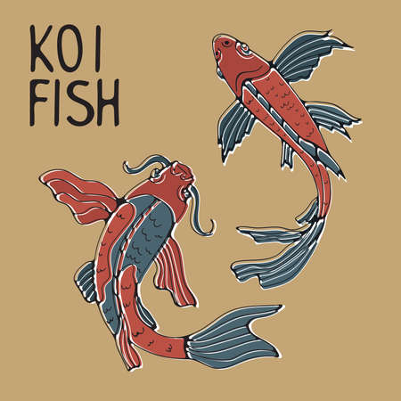 Exotic japanese koi fish illustration in vectorのイラスト素材