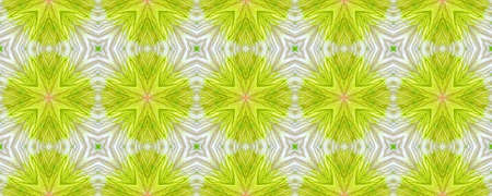 Portuguese Decorative Tiles. Boho Azulejo Texture. Portuguese Decorative Tiles Background. Sicily Surface. Modern Surface. Orient Herbal Modernの写真素材
