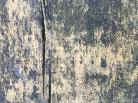 Bark Texture Pattern. Bark Texture Tree Pattern. Background Bark Texture Pattern. Cedar Macro Dark Pattern. Old Outdoor Tree Board. Tree Abstract Nature. Lichen Closeup Texture. Organicの写真素材