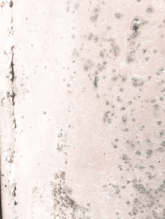 Zinc Metal Texture. Metal Crack Jeans Surface. Scratched White Pattern. Background Zinc Metal Texture. White Zinc Surface. Rough Metallic Picture. Rustの写真素材