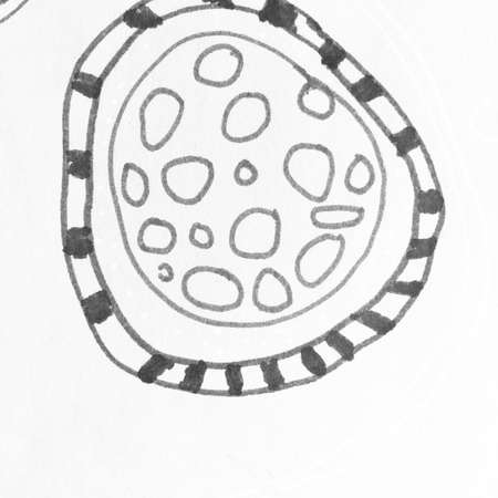 Handwritten Circles. Circular Halftone Sketch Acrylic Design. Modern Classic Chaotic. Retro Repeat. Background Handwritten Circles. Paper Handdrawn. Golden.の写真素材