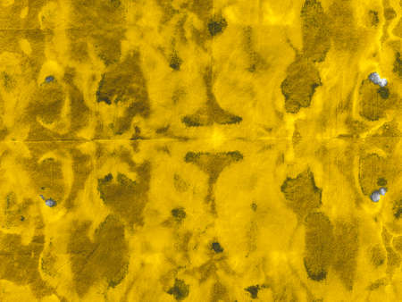 Watercolor Batik Repeat. Artistic Gold Aquarelle Art. Watercolor Batik Repeat Print. Textured Gold Fabric. Paintbrush Crumpled Gold Canvas. Yellow Vintage の写真素材