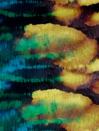 Decoration On Black Background. Jaipur Vintage Paintings. Fantastic Abstract Background. Vivid Ink Surface. Grunge Space Card. Silk Paintings. の写真素材